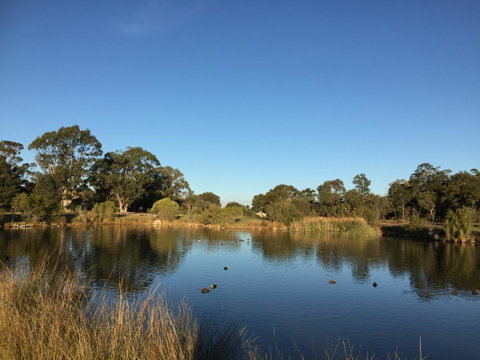 Lakeside Views - Tourism Canberra 18