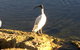 Lakeside Views - thumb 16