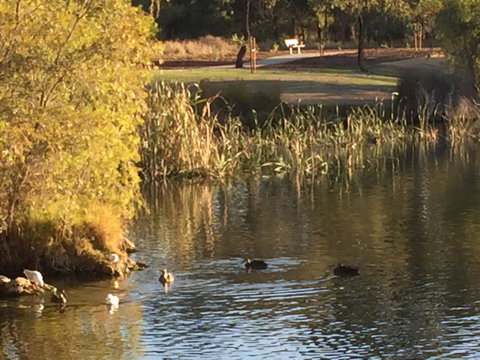 Lakeside Views - Tourism Canberra 15