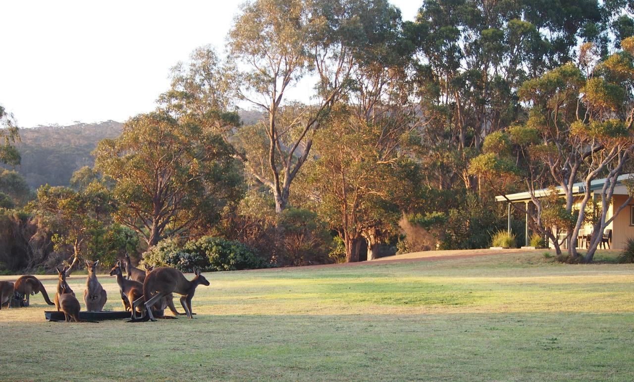  Tourism Canberra