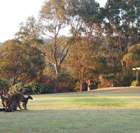 Riverside Retreat Chalets Walpole - Tourism Canberra