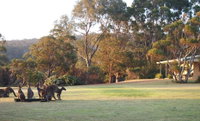Book Walpole Accommodation Vacations Tourism Canberra Tourism Canberra