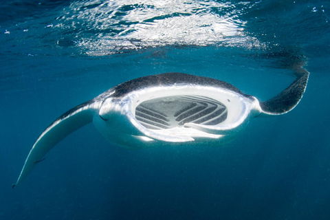 Peoples Park - Tourism Canberra 32