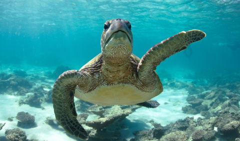 Peoples Park - Tourism Canberra 31