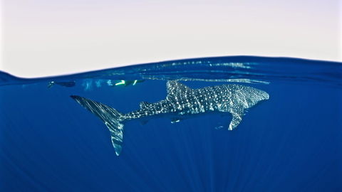 Peoples Park - Tourism Canberra 33