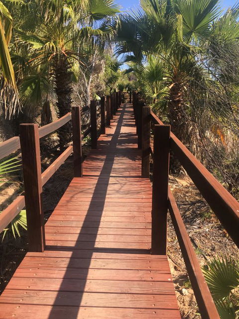 Peoples Park - Tourism Canberra 10