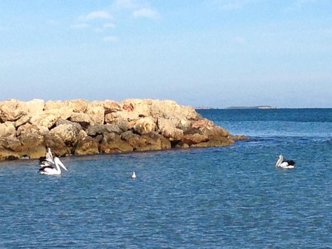 Gypsy Cottage - Tourism Canberra 13