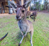 Yelverton Brook Eco Spa Retreat  Conservation Sanctuary - Tourism Canberra