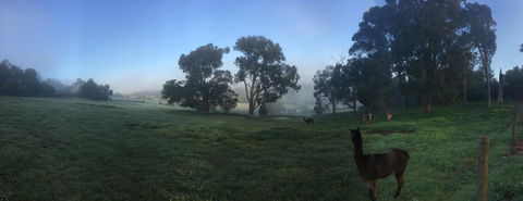 Tegwan's Nest Holiday Home - Tourism Canberra 20