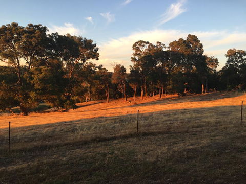 Tegwan's Nest Holiday Home - Tourism Canberra 18