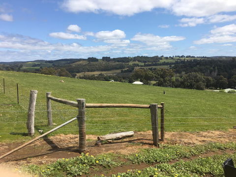 Tegwan's Nest Holiday Home - Tourism Canberra 39