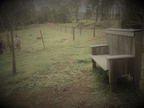 Tegwan's Nest Holiday Home - Tourism Canberra 43