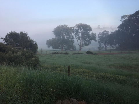 Tegwan's Nest Holiday Home - Tourism Canberra 29
