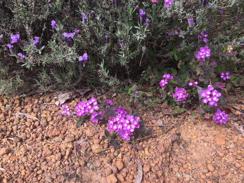 Tegwan's Nest Holiday Home - Tourism Canberra 38