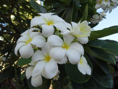 Broome - Tourism Canberra 3