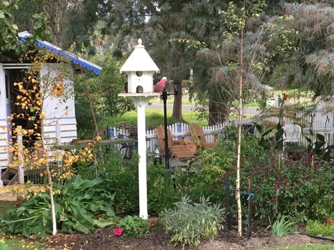 Applegate Lane Chalet - Tourism Canberra 24
