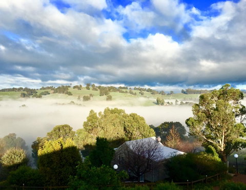 Balingup Highview Chalets - Tourism Canberra 0