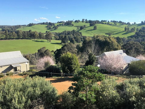 Balingup Highview Chalets - Tourism Canberra 5