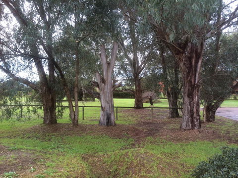 Nivalis Bed And Breakfast - Tourism Canberra 29