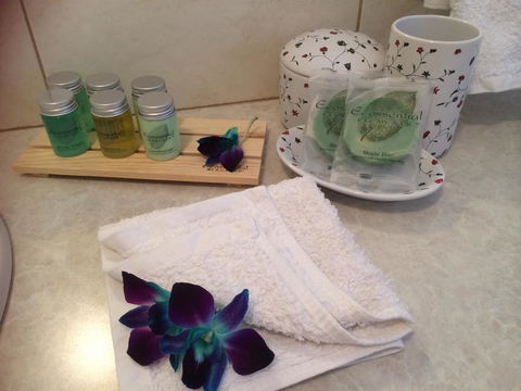 Nivalis Bed And Breakfast - Tourism Canberra 15
