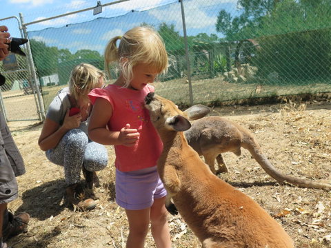 Jurien Beachfront Holiday Units - Tourism Canberra 36