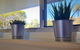 Fremantle Sunset Studio Rottnest Island Views - thumb 10