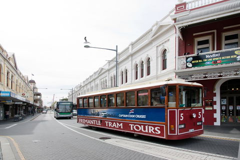 The Local - Fremantle Apartment - Tourism Canberra 15