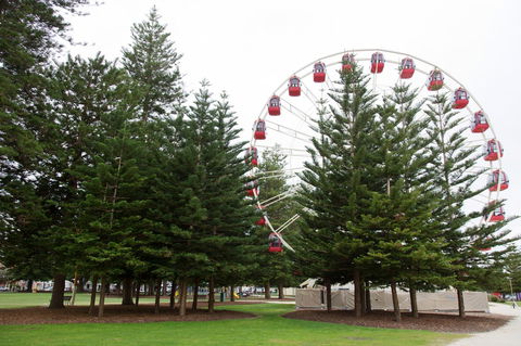 The Local - Fremantle Apartment - Tourism Canberra 16