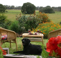 Silversprings cottages - Tourism Canberra