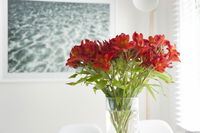 Book Kingston Beach Accommodation Vacations Tourism Canberra Tourism Canberra