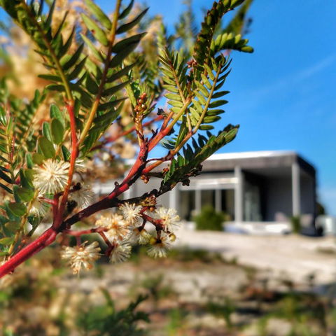 Aplite House - Tourism Canberra 36