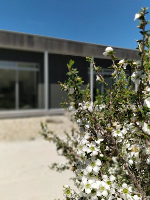 Aplite House - Tourism Canberra 7