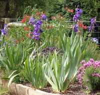 Karoola Cottage Self Contained - Tourism Canberra