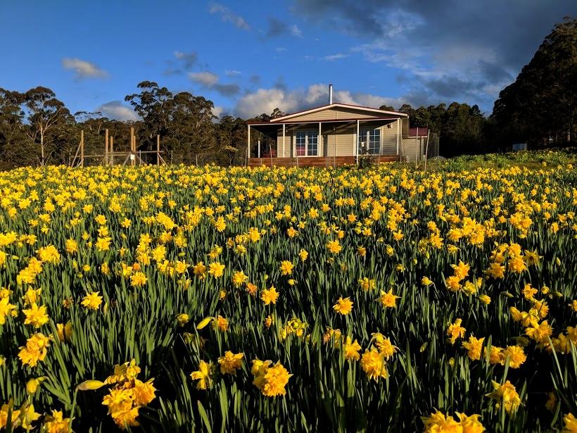Devon Hills TAS Tourism Canberra