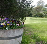 Padthaway Caravan Park - Tourism Canberra