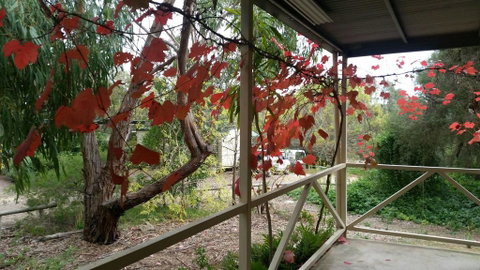 Padthaway Caravan Park - Tourism Canberra 1