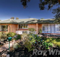 pasadena quinlan - Tourism Canberra