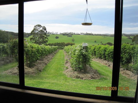 Pennyroyal Raspberry Farm & Cidery - Tourism Canberra 0