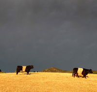 Peppertree Hill - Tourism Canberra