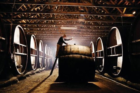 Pieter Van Gent Winery & Vineyard - Tourism Canberra 0