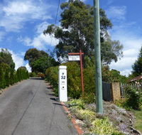 Protea Hill - Tourism Canberra