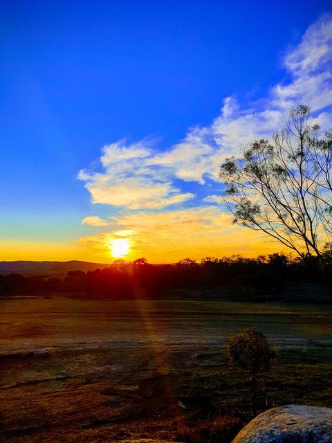R & R On The Ravine - Tourism Canberra 3