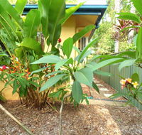 Rainforest Cottage Cairns - Tourism Canberra