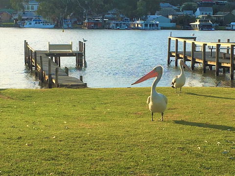 Riverfront Getaway - Mannum - Tourism Canberra 0