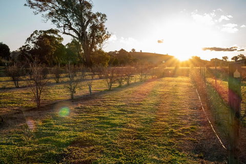 Riverview Farm & Guesthouse - Tourism Canberra 3