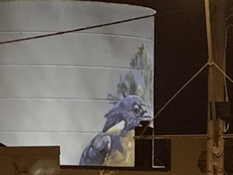 Rochester Wine Tavern - Tourism Canberra 1