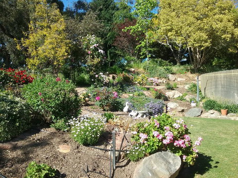 Rose Cottage - Tourism Canberra 1