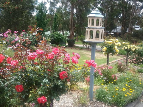 Rose Cottage - Tourism Canberra 2
