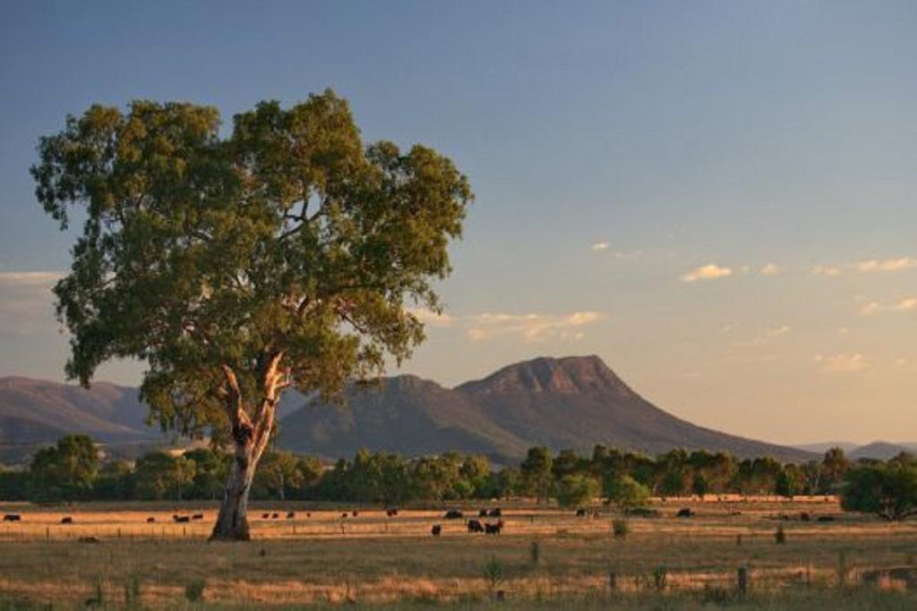 Rubicon ACT Tourism Canberra