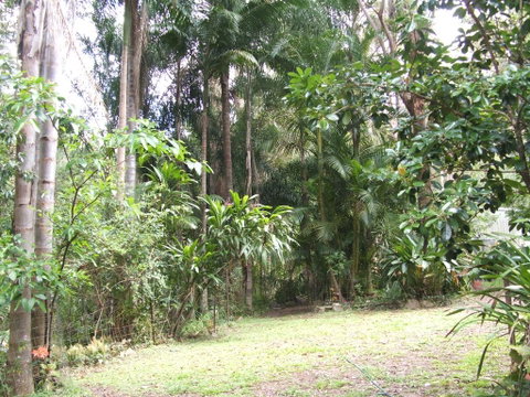 Rumbalara Bed And Breakfast - Tourism Canberra 2